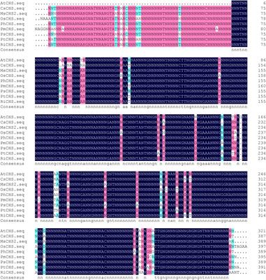 Cloning of a CHS gene of Poncirus trifoliata and its expression in response to soil water deficit and arbuscular mycorrhizal fungi